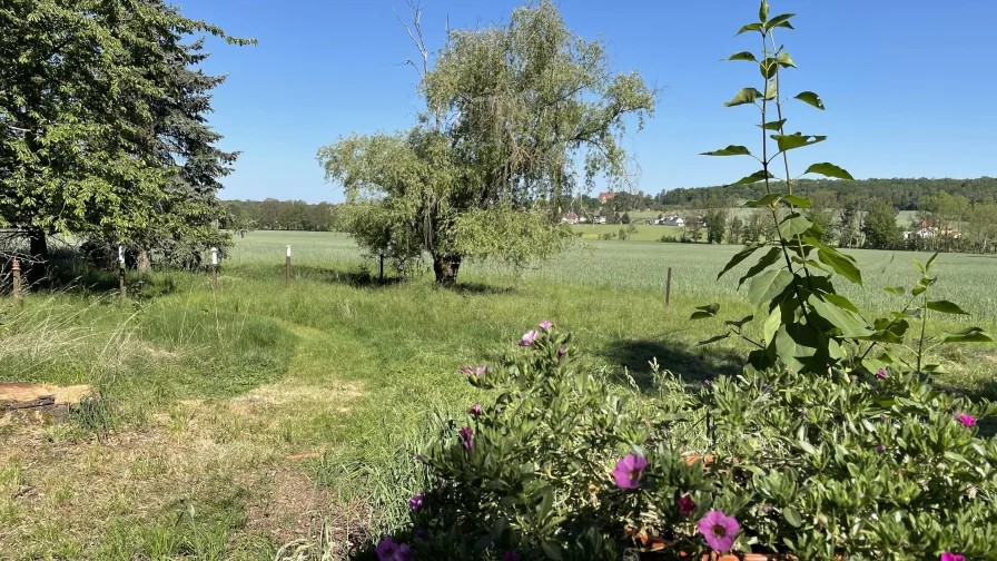 Blick in die unberührte Natur