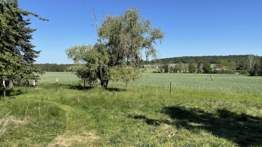 Blick in die unberührte Natur