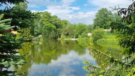  - Haus kaufen in Göda - Pure Familienidylle unweit von Bautzen