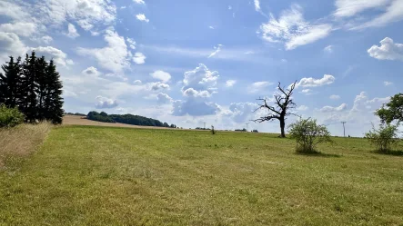 Blick nach Süden - Grundstück kaufen in Mohorn - Großzügiges Wohnbaugrundstück in Mohorn (Herzogswalde)