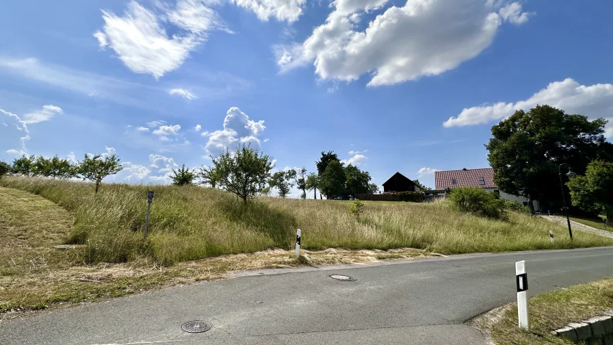 Straßenansicht, Blick nach SW