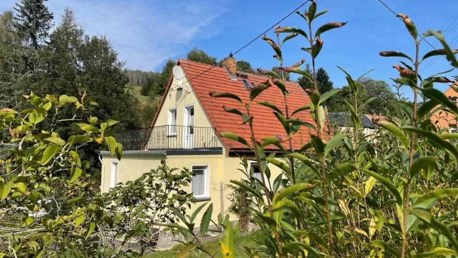 Ansicht - Haus kaufen in Sebnitz - Kleines Haus zum Verlieben