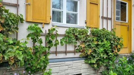 Detailansicht - Haus kaufen in Dresden - Briesnitz-eine der Topadressen im Westen