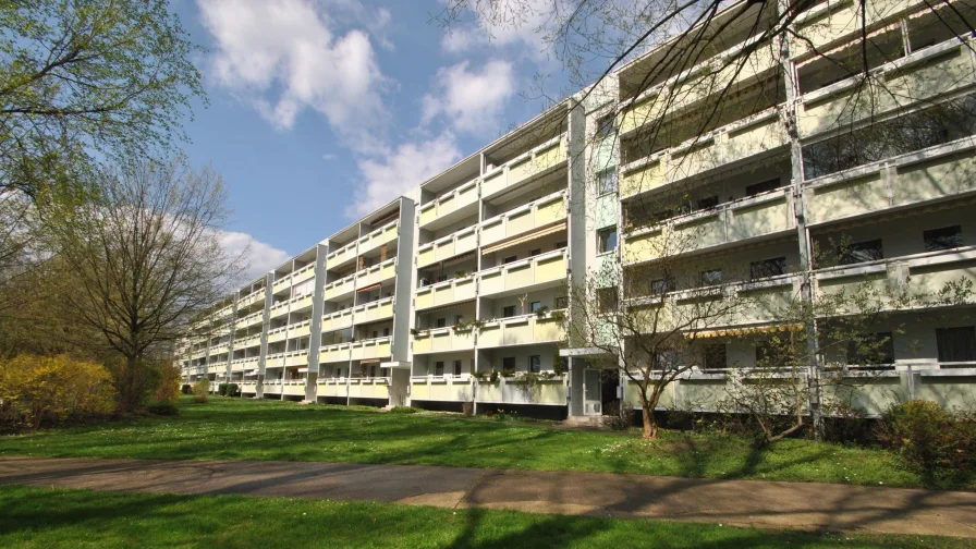 Blick auf Hausrückseite - Wohnung kaufen in Dresden - 4-Zi.-Familienwohnung - Sofortbezug