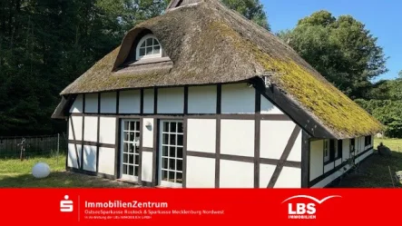 Ansicht - Haus kaufen in Alt Bukow - Reetdachhaus mit moderner Ausstattung