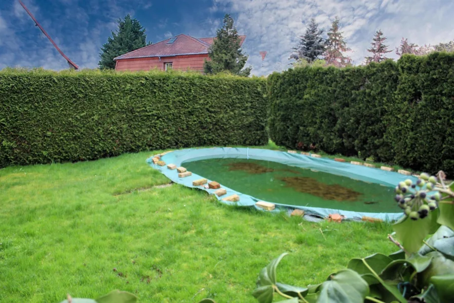 Pool im Garten