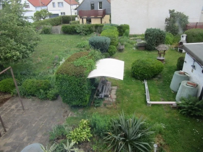 Blick in den Garten