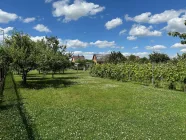 Garten einschl. Weinreben