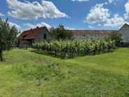 Bauernhaus und Garten einschl. Weinreben