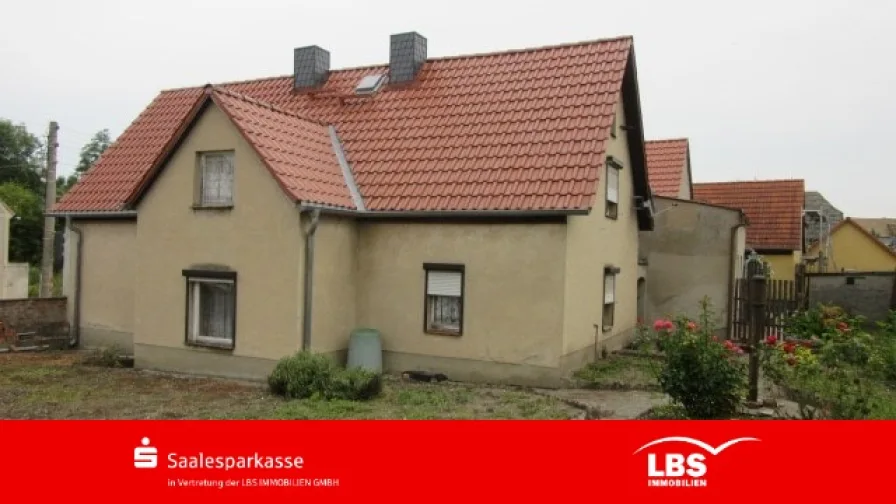 Hausansicht - Haus kaufen in Wettin-Löbejün - Einfamilienhaus mit großzügigem Garten