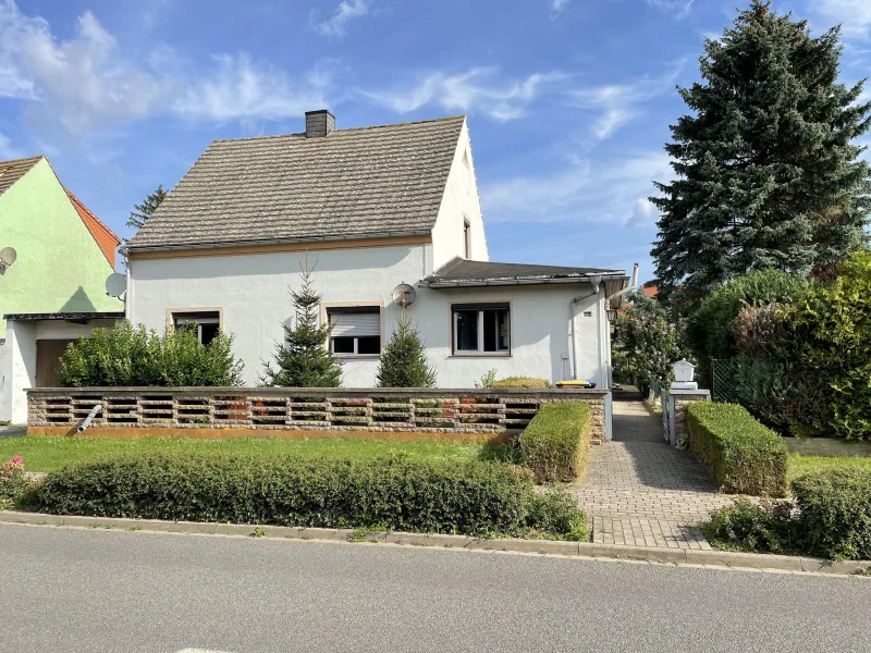 Vorderansicht - Haus kaufen in Hecklingen - Einfamilienhaus auf dem Land!