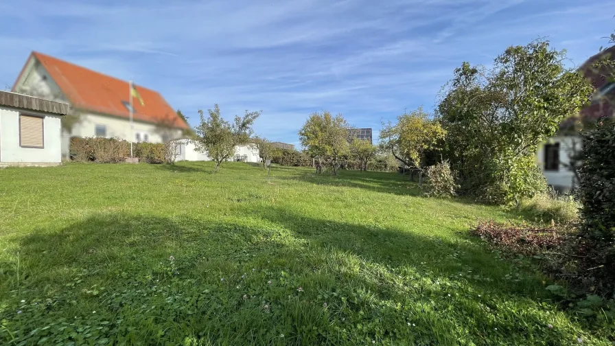 Grundstück - Grundstück kaufen in Aschersleben - Exklusives Baugrundstück in Aschersleben