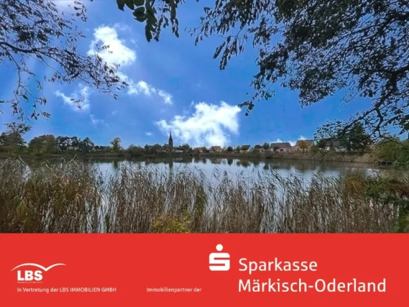 Dornbuschsee - Grundstück kaufen in Bad Freienwalde - Kreativer Kapitalanleger/Geschäftsentwickler gesucht