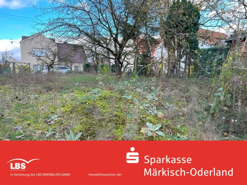 Blick Richtung Straße - Grundstück kaufen in Rüdersdorf - Bauland für kleines Häuschen oder Tinyhaus