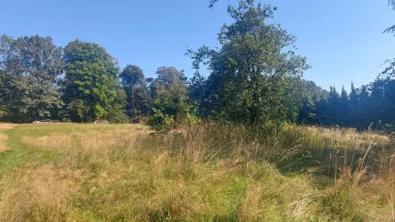 Grundstück - Grundstück kaufen in Schirgiswalde-Kirschau - Natur pur