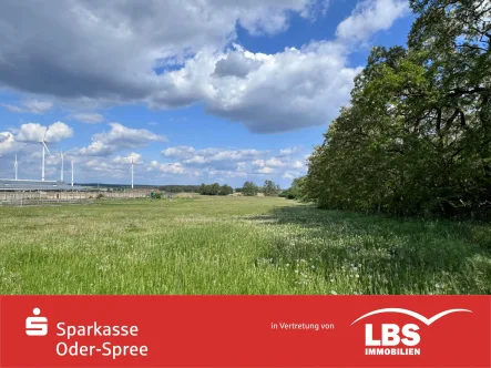 Flächen am Windpark - Grundstück kaufen in Jacobsdorf - Investition in die Zukunft!