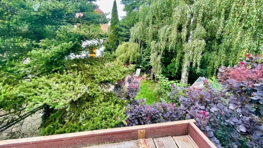 Blick vom Balkon in den Garten 