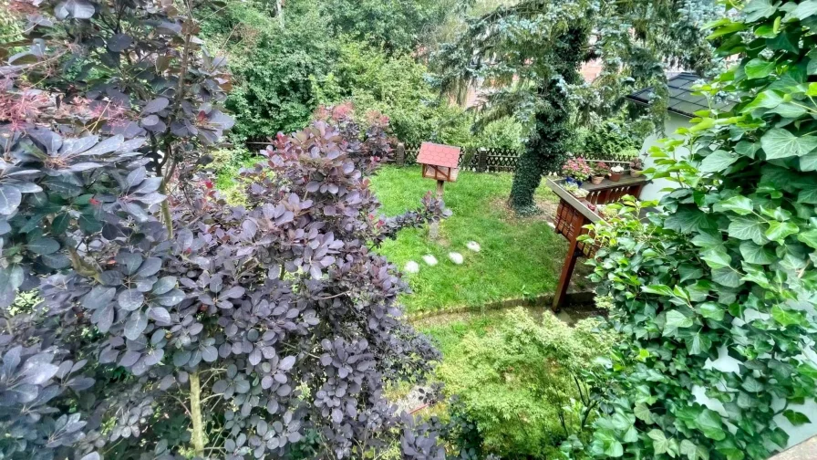 Blick in den Garten 