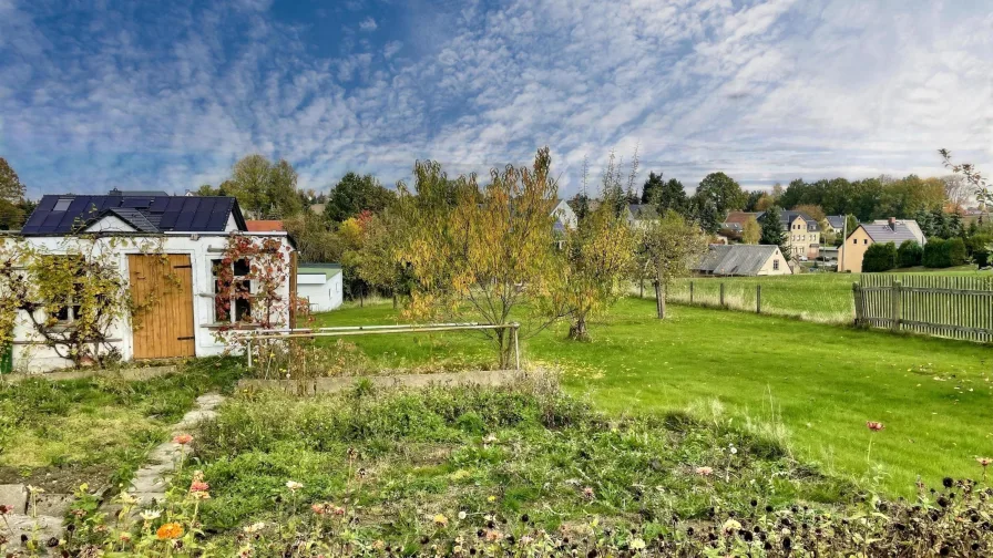 Blick in den Garten 