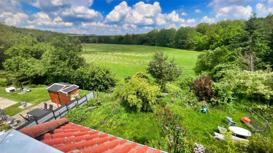 Blick vom Obergeschoss in den hinteren Garten 