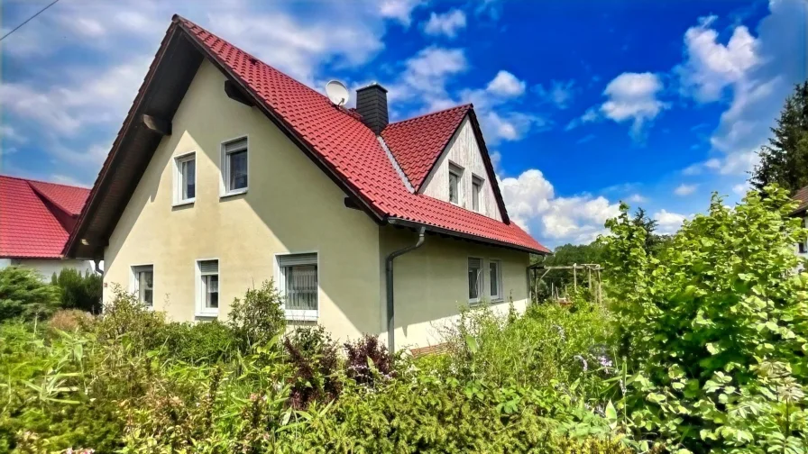 Außenansicht Straßenseite - Haus kaufen in Penig - Schickes, individuelles Einfamilienhaus 