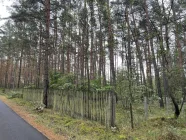 Ihr Wald ca. 3.000 m²