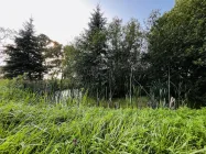 Gartenbereich mit eigenem Naturteich 