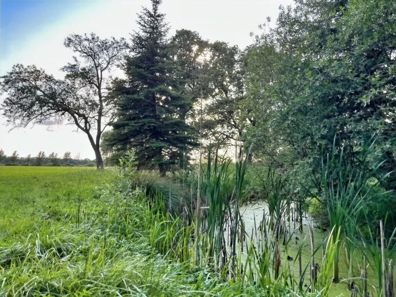 Außenbereich mit eigenem Teich