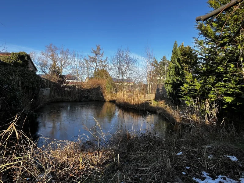 eigner Teich im Garten