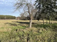 vom Garten Blick übers Feld