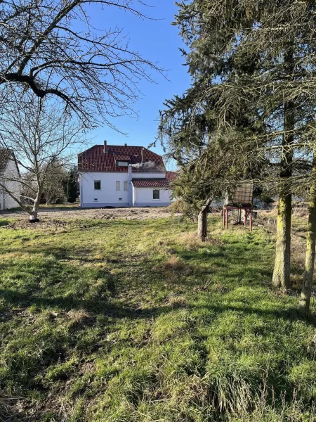 Blick vom Garten zum Haus