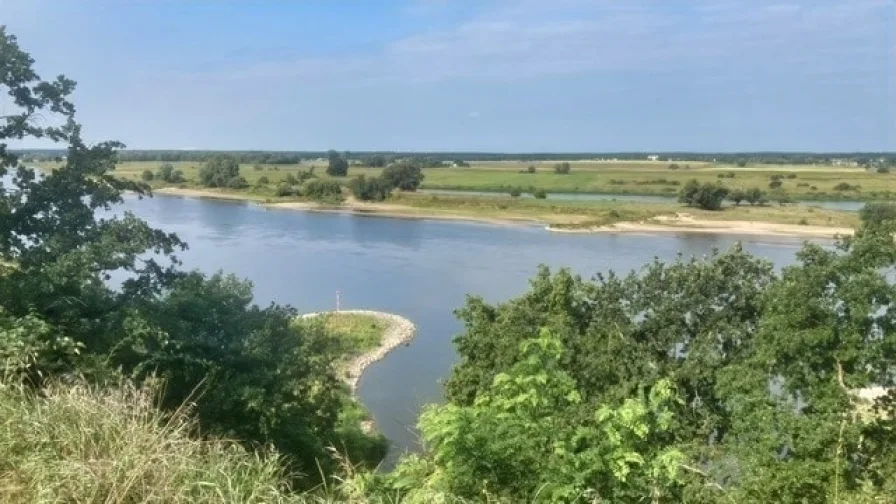 Blick auf die Elbe