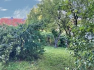 Garten mit Obstbäumen