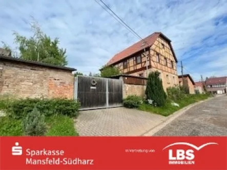 Bild8 - Haus kaufen in Südharz - Einzeldenkmal mit tollem Grundstück!