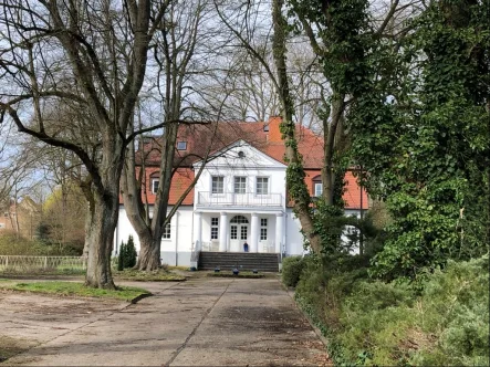 Vorderansicht - Haus kaufen in Wittendörp - Wohnen im historischen Herrenhaus