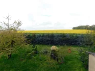 OG - Blick aus dem Fenster