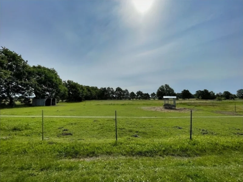 Blick auf die angrenzende Weide