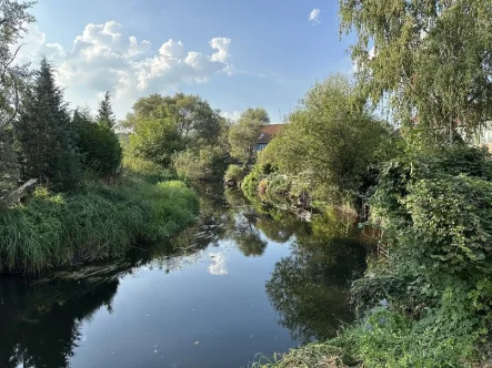 Blick vom Grundstück - Haus kaufen in Grabow - Wassergrundstück - willkommen zu Hause !