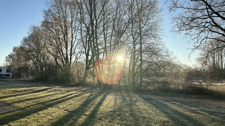 Wintersonne genießen