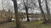 Garten und See