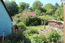 Blick in den grünen Garten