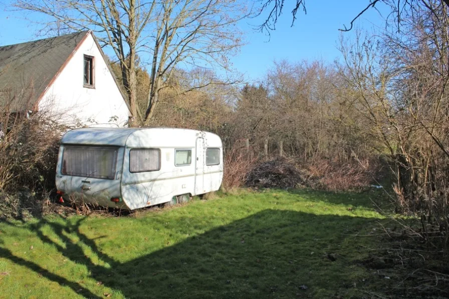 Blick in den Garten