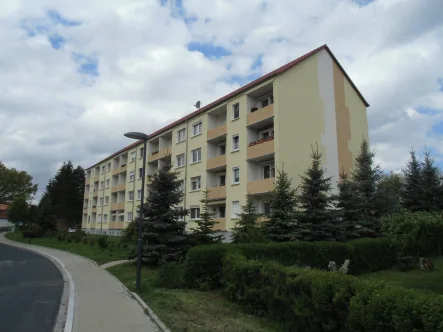 Straßenansicht mit Balkonen - Wohnung kaufen in Klipphausen - Eigentumswohnung mit Blick in die Natur