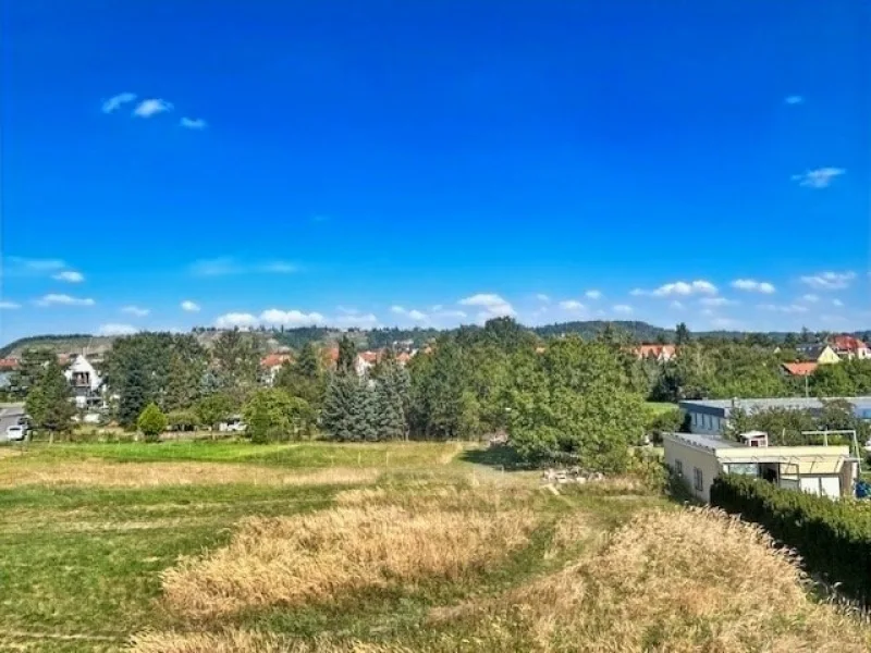 Blick aus SZ zu den Weinbergen