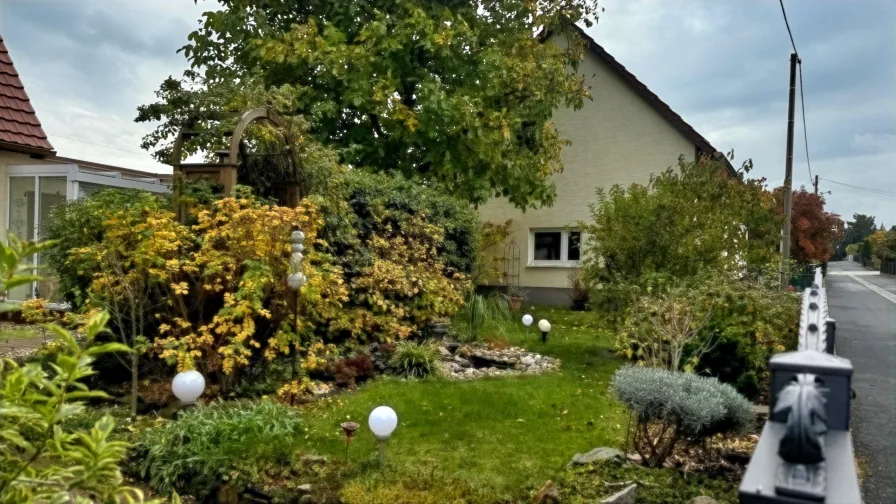 Garten vor dem EFH