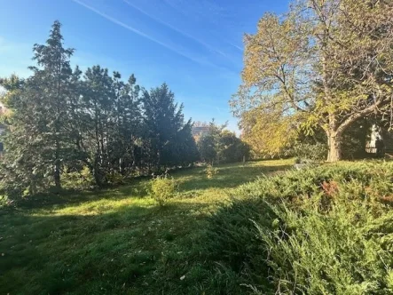 Blick ins Grundstück - Grundstück kaufen in Radebeul - Rarität inmitten von Radebeul