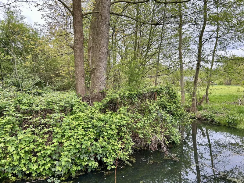 den Spreewald vor der Tür