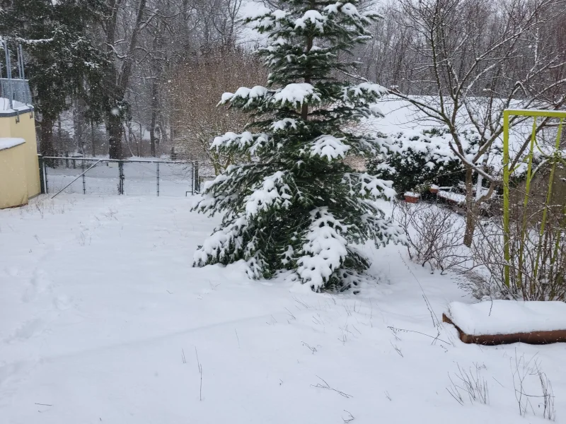 Garten mit Blick auf die Grundstückseinfahrt