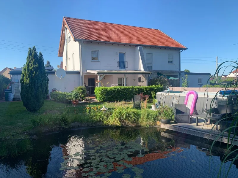 Gartenteich mit Blick aufs Haus