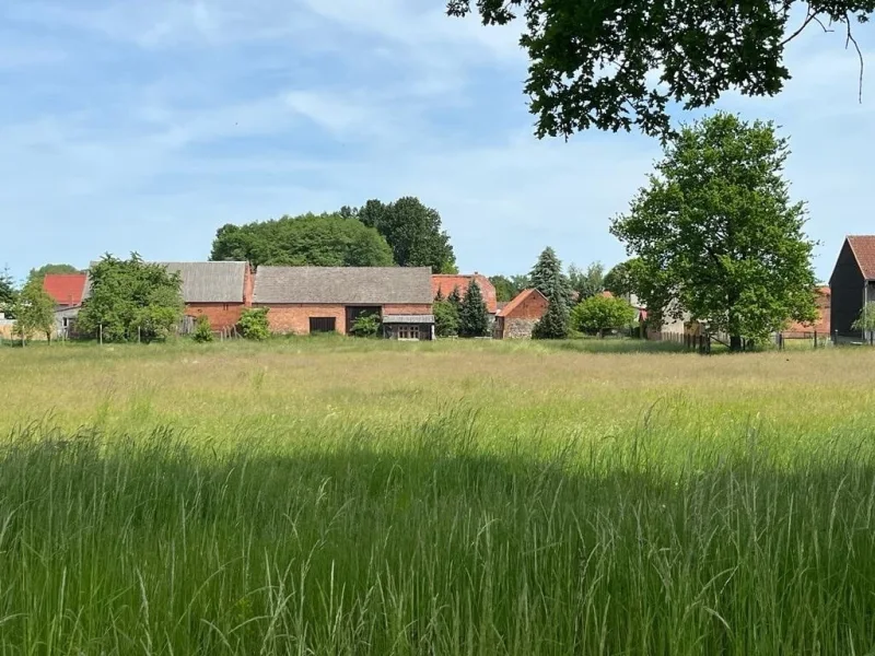 Blick von der Koppel zum Hof